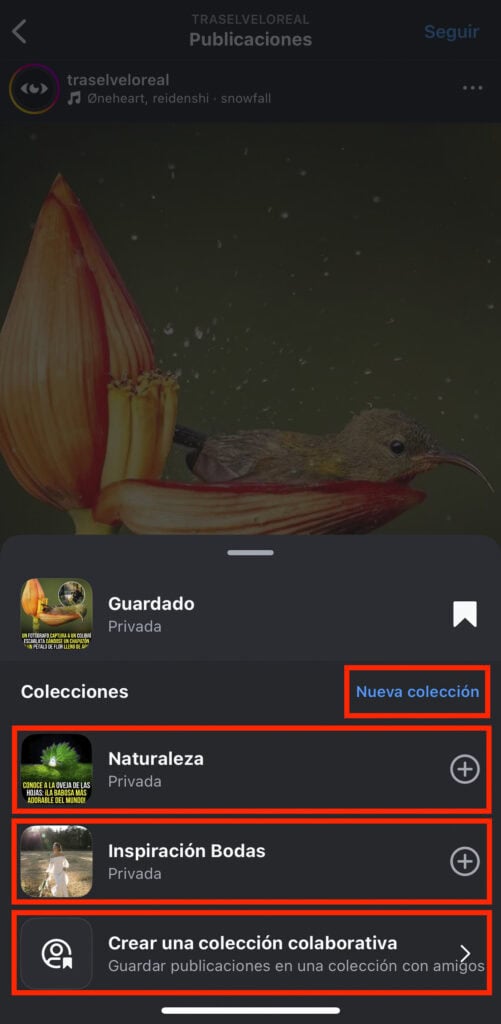 Crear una nueva colección al guardar una publicación de instagram